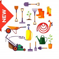 Նոր Տեսականի